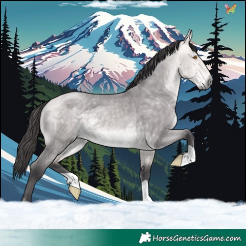 Horse Color:Platinum Buckskin Dun 