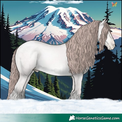 Horse Color:Platinum Buckskin Pearl Dun 