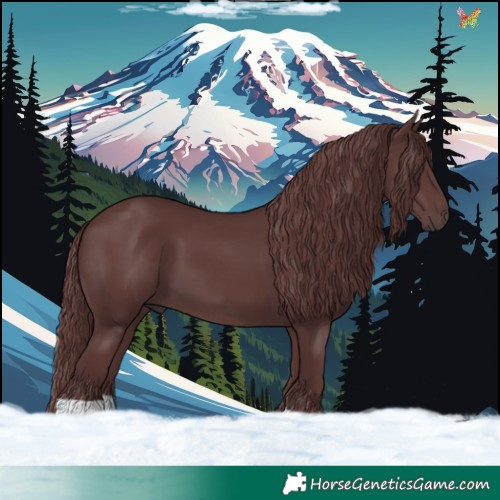 Horse Color:Chocolate Smoky Black 