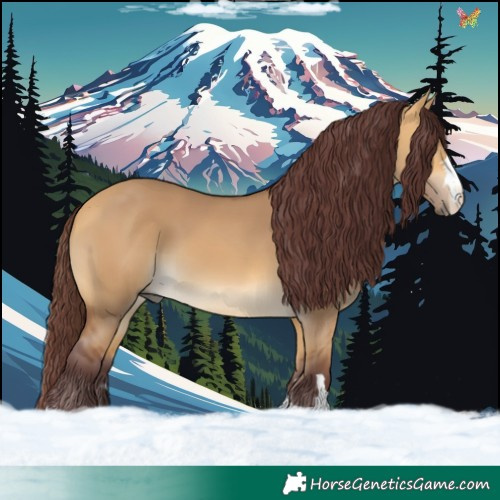 Horse Color:Chocolate Buckskin Dun 
