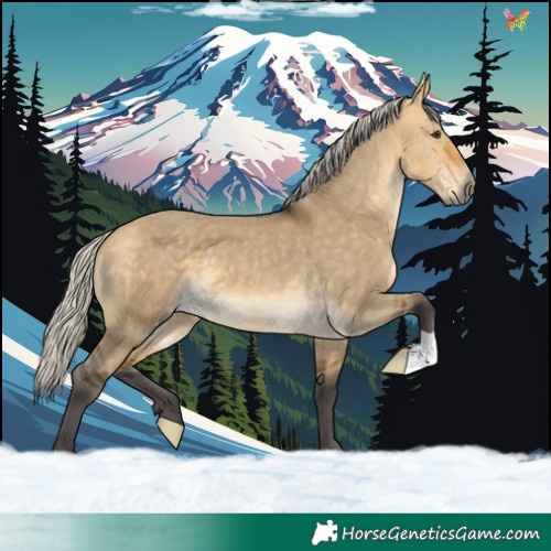 Horse Color:Silver Buckskin Dun 