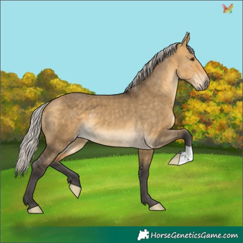 Horse Color:Silver Buckskin Dun 