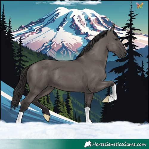 Horse Color:Smoky Grullo 