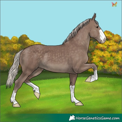 Horse Color:Chocolate Silver Smoky Black 