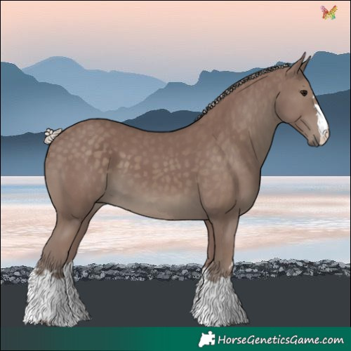 Horse Color:Chocolate Silver Smoky Black 