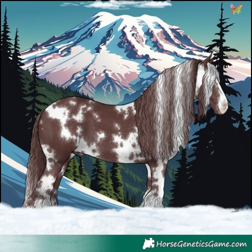Horse Color:White Spotted Chocolate Smoky Black 