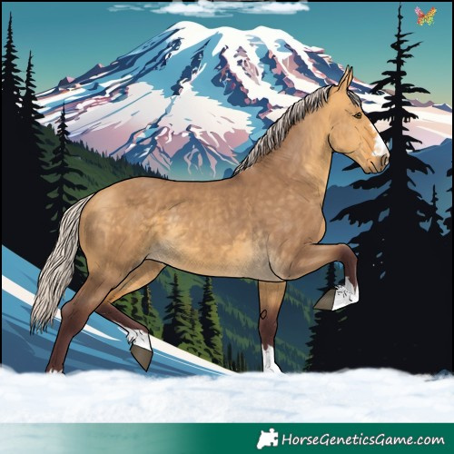 Horse Color:Chocolate Silver Buckskin Dun 