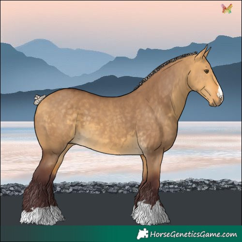 Horse Color:Chocolate Silver Buckskin Dun 