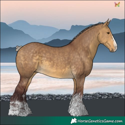 Horse Color:Chocolate Silver Buckskin Dun 
