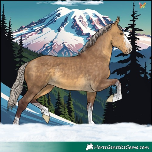 Horse Color:Chocolate Silver Buckskin Dun 