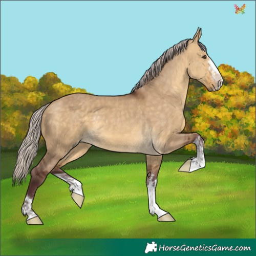 Horse Color:Chocolate Silver Buckskin Dun 