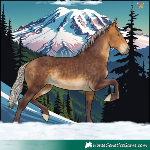 Horse Color:Chocolate Silver Buckskin 