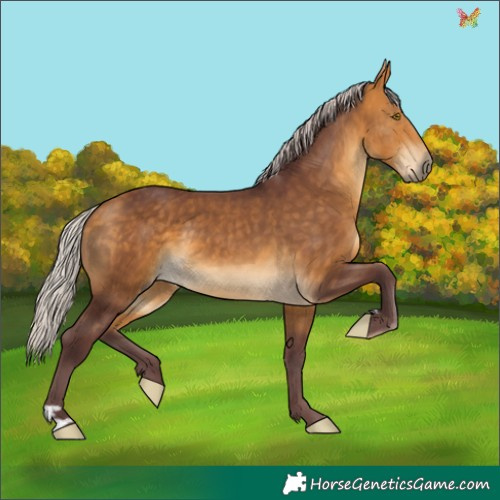 Horse Color:Chocolate Silver Buckskin 