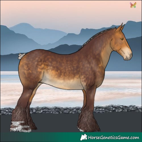 Horse Color:Chocolate Silver Buckskin 
