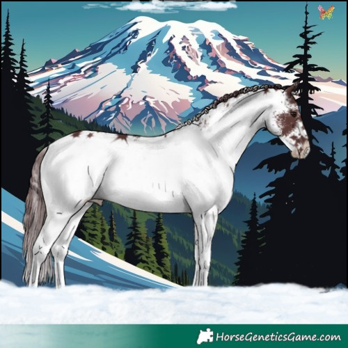 Horse Color:White Spotted Chocolate Smoky Black 