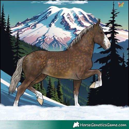 Horse Color:Chocolate Silver Buckskin 