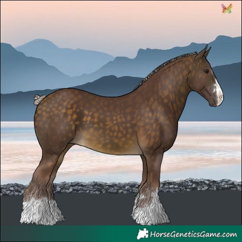 Horse Color:Chocolate Silver Buckskin 