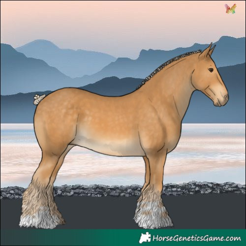 Horse Color:Palomino 