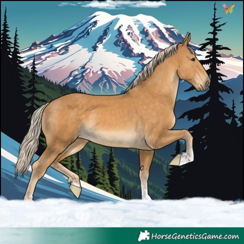 Horse Color:Palomino 
