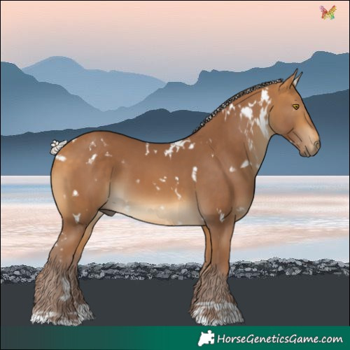 Horse Color:White Spotted Chocolate Silver Buckskin 