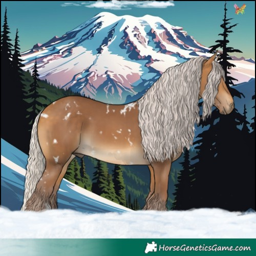 Horse Color:White Spotted Chocolate Silver Buckskin 