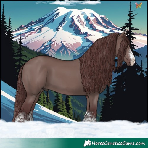 Horse Color:Chocolate Smoky Grullo 