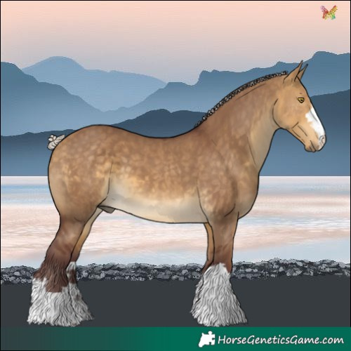Horse Color:Chocolate Silver Buckskin Dun 