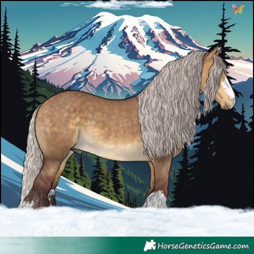 Horse Color:Chocolate Silver Buckskin Dun 
