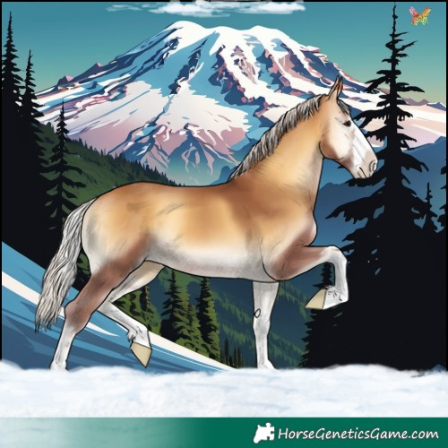 Horse Color:Chocolate Silver Buckskin Onyx 