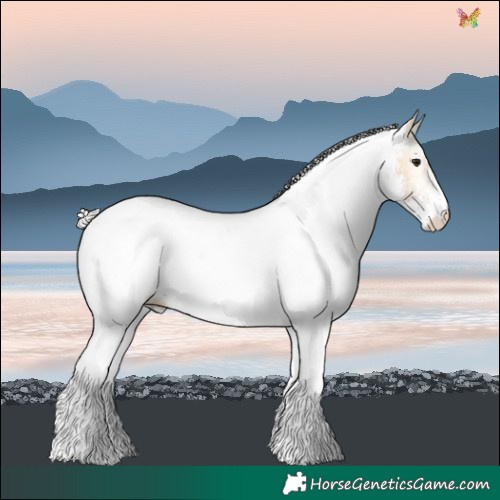Horse Color:White Spotted Chocolate Silver Buckskin Onyx 