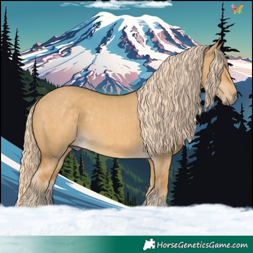 Horse Color:Palomino Dun 
