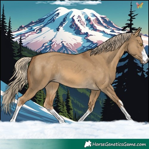 Horse Color:White Spotted Chocolate Palomino Dun 