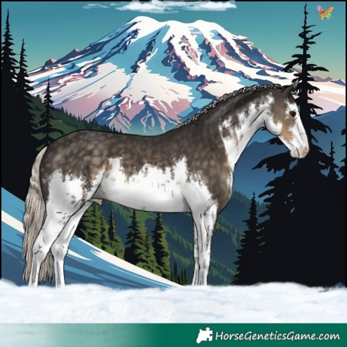 Horse Color:White Spotted Silver Smoky Black 