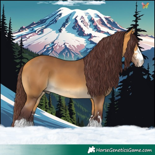 Horse Color:Chocolate Buckskin 