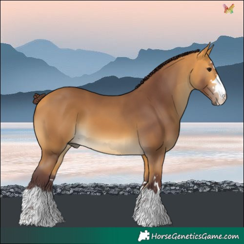 Horse Color:Chocolate Buckskin 