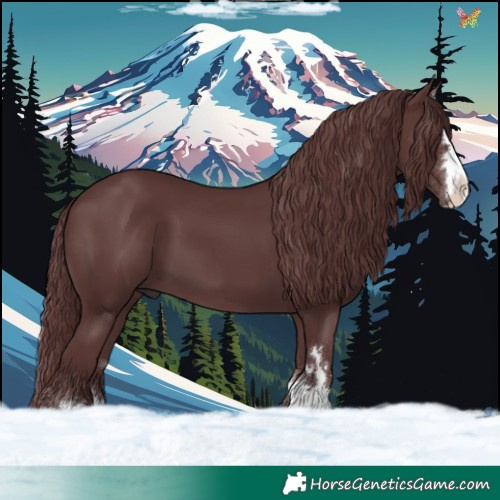 Horse Color:Chocolate Smoky Black 