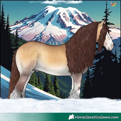 Horse Color:Chocolate Buckskin Onyx 