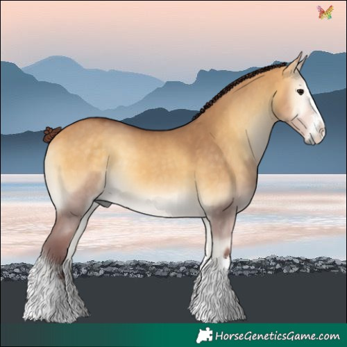 Horse Color:Chocolate Buckskin Onyx 