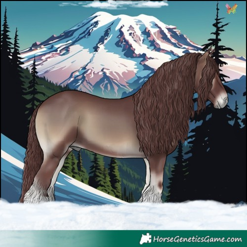Horse Color:Chocolate Smoky Blue Onyx 