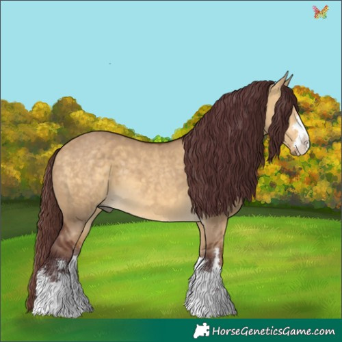 Horse Color:Chocolate Buckskin Dun 