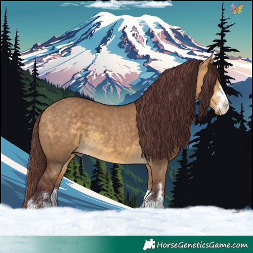 Horse Color:Chocolate Buckskin Dun 