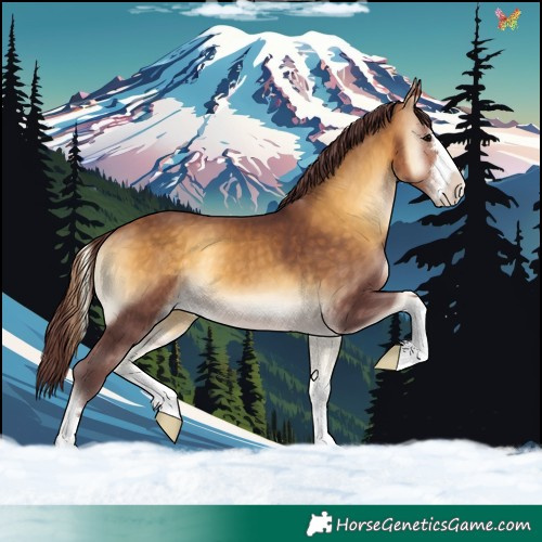 Horse Color:Chocolate Buckskin Onyx 