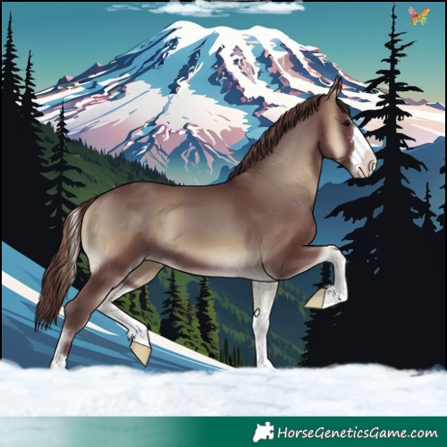 Horse Color:Chocolate Smoky Blue Onyx 