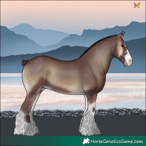 Horse Color:Chocolate Smoky Blue Onyx 