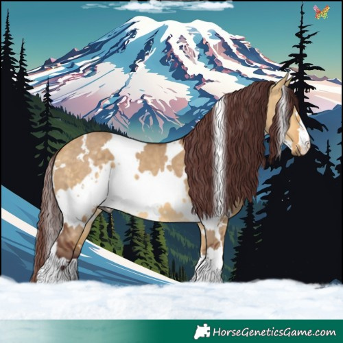 Horse Color:White Spotted Chocolate Buckskin Dun 