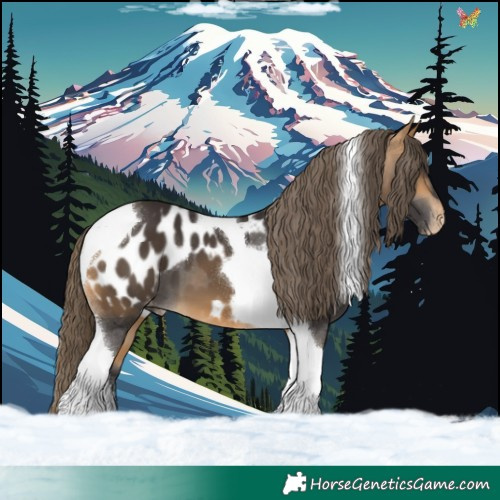 Horse Color:Buckskin Tobiano Appaloosa 