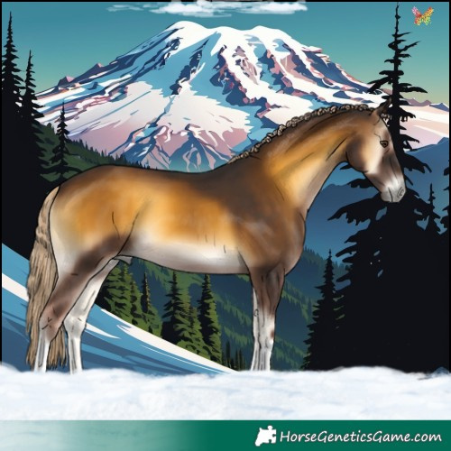 Horse Color:Chocolate Palomino Onyx 
