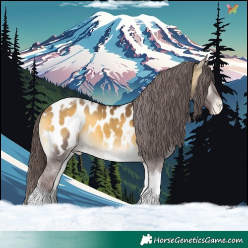 Horse Color:Chocolate Buckskin Onyx Tobiano Blanket 