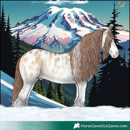 Horse Color:White Spotted Chocolate Buckskin Onyx Blanket 
