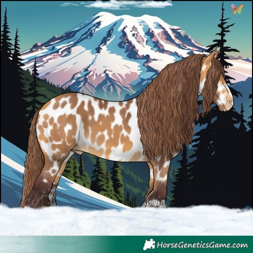 Horse Color:Chocolate Buckskin Near Leopard 
